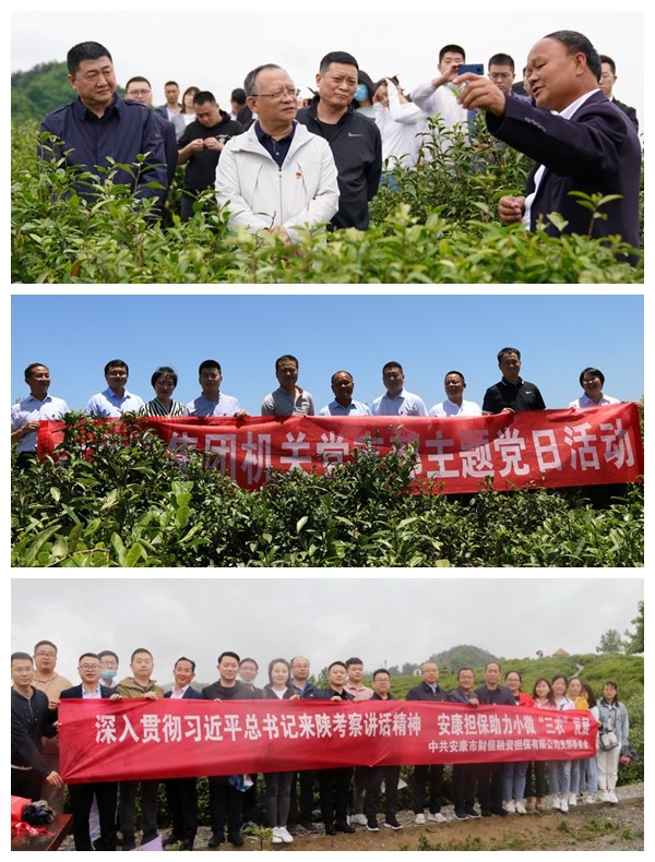 厕所偷拍
党委开展系列活动 庆祝建党99周年